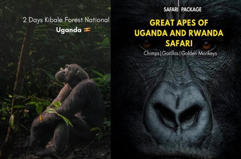 Tour Guide – Visit Uganda